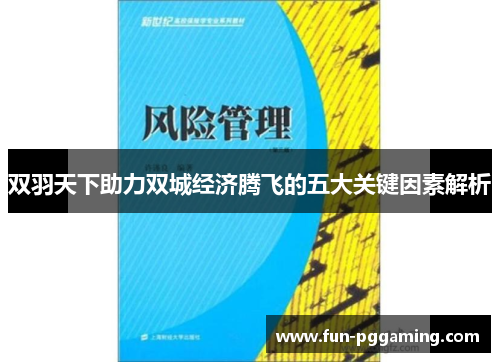 双羽天下助力双城经济腾飞的五大关键因素解析