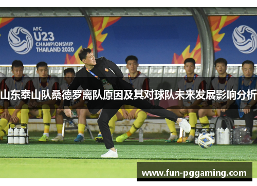 山东泰山队桑德罗离队原因及其对球队未来发展影响分析 山东泰山队桑德罗离队原因及其对球队未来发展影响分析