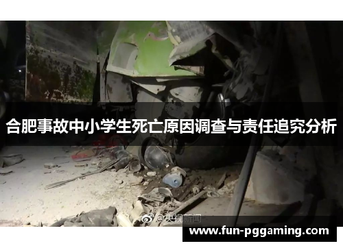 合肥事故中小学生死亡原因调查与责任追究分析